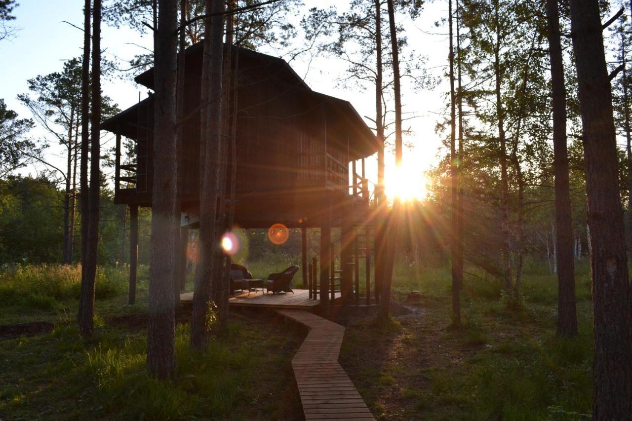 Villa Sambliku Treehouse Jogisoo Exterior foto